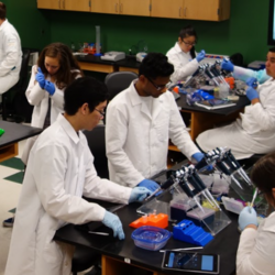 Students in the Neil A. Campbell Science Laboratory