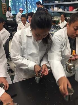Students in the Neil A Campbell Science Learning Laboratory