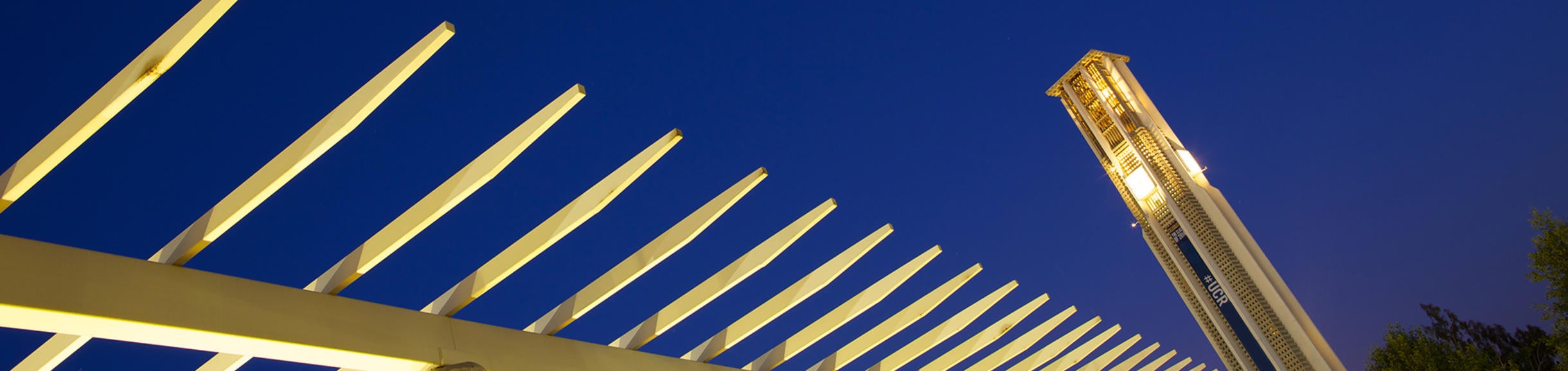 Instructors Dynamic Genome Program